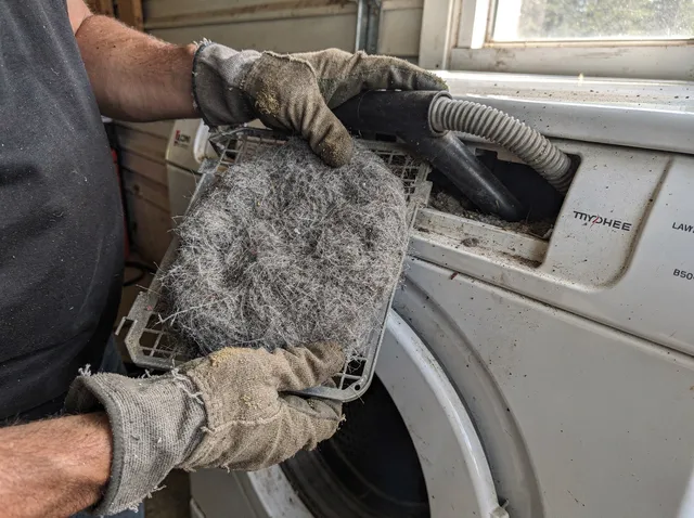Cleaning Dryer Lint Trap in Spring Hill